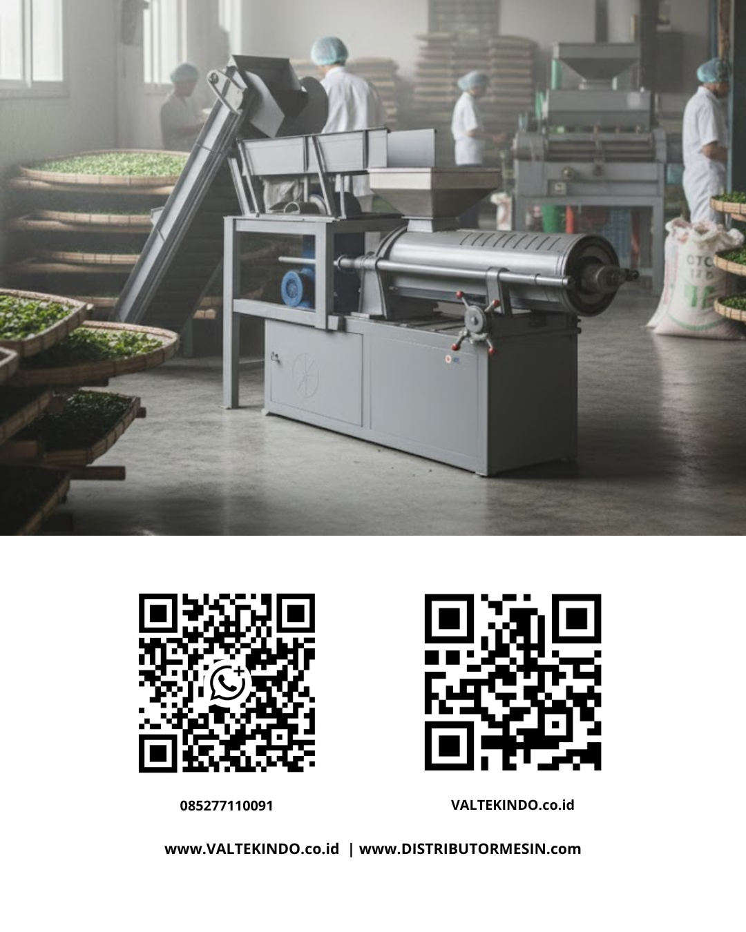 Understanding the Tea Processing Journey: From Fresh Leaves to Ready-to-Drink Products