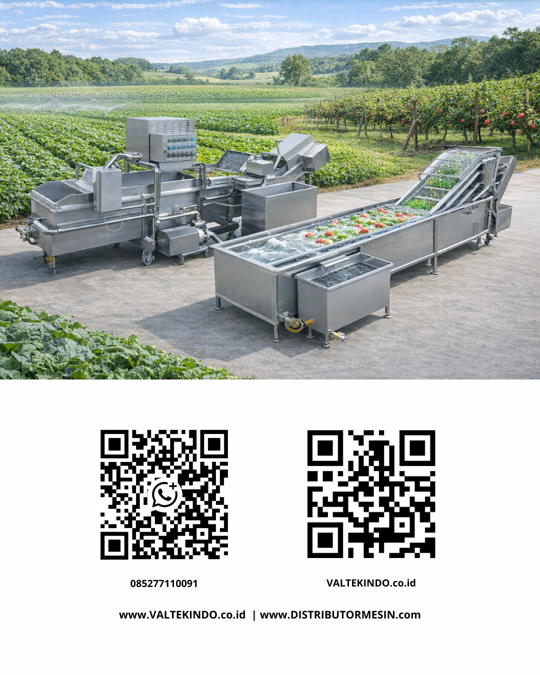 Understanding Pre-Treatment Production Line Technology for Dehydrated Vegetable Standardization