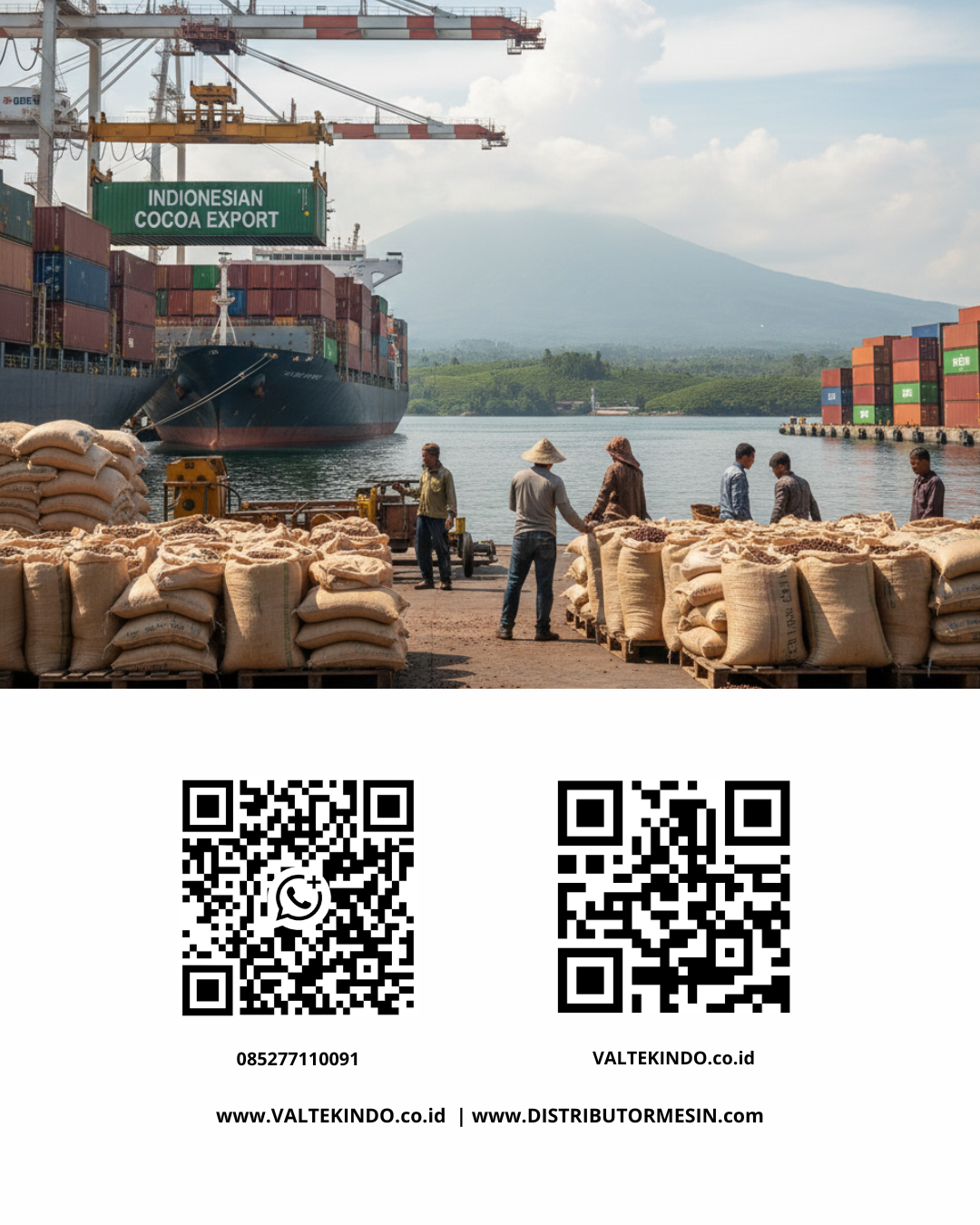Menjaga Momentum Ekspor Kakao: Peran Teknologi dalam Menjamin Stabilitas Produksi Nasional