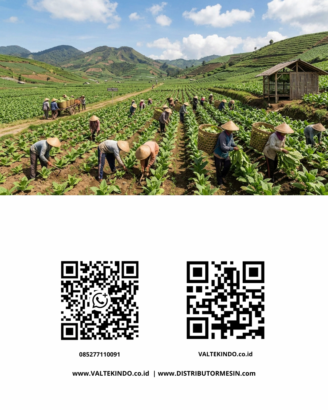 The Synergy of Technology and Manufacturing in Sustaining the Economic Contribution of the Tobacco Sector
