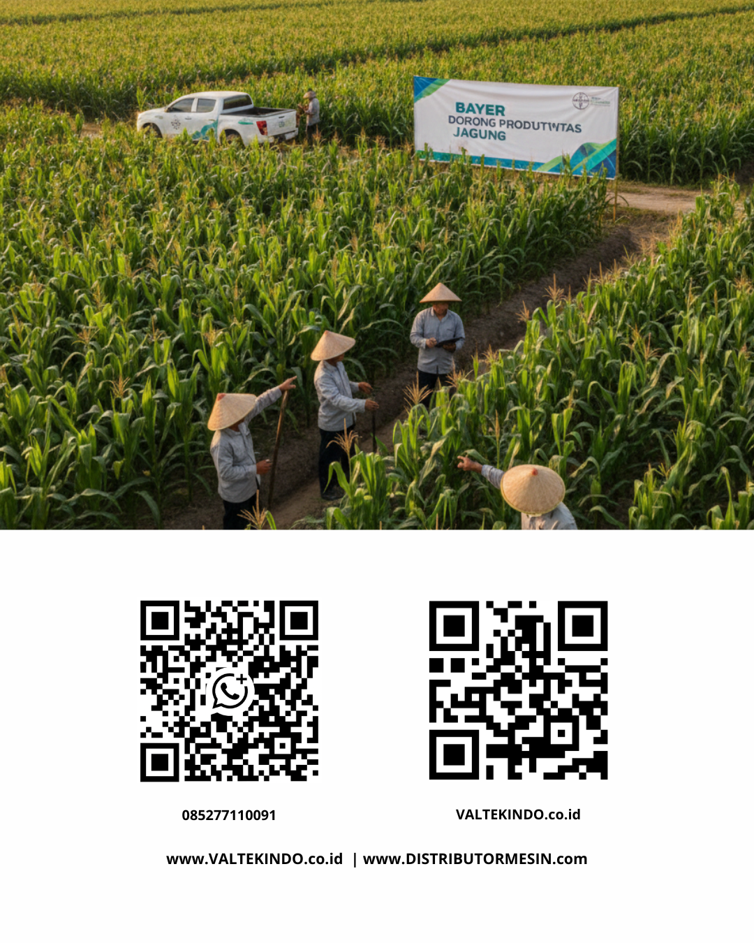 Transformation of Planting Methods: Effective Ways to Boost National Corn Productivity